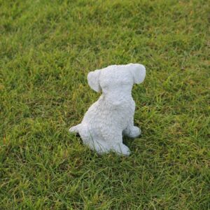 Fox Terrier