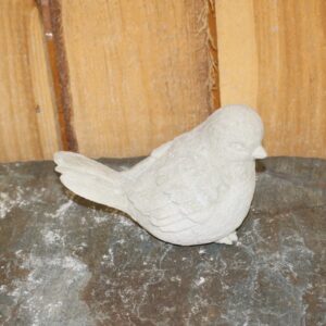 Oiseau à queue relevée