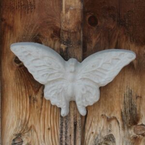 Grand papillon