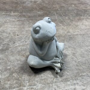 Grenouille assise