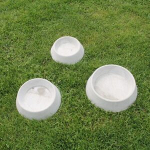 Gamelle pour chien