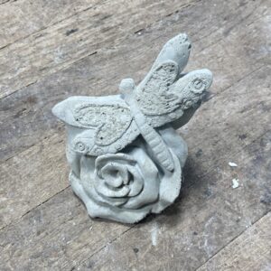 Libellule sur une rose