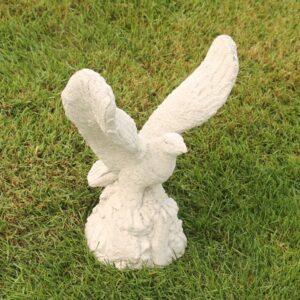 Petit aigle aux ailes déployées