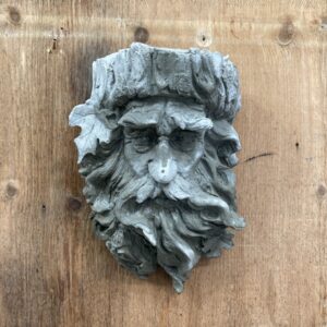 Homme des forêts