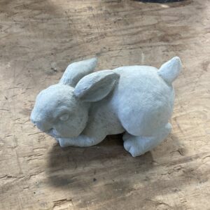 Petit lapin sauteur