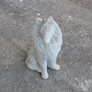 Grand chien Colley