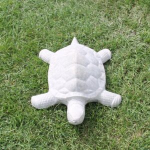 Grande tortue de mer