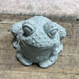 Petit crapaud verruqueux