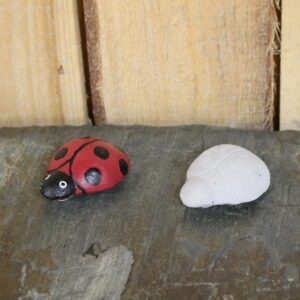 Mini coccinelle