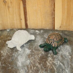 Mini tortue