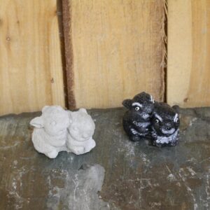 Lapins jumeaux