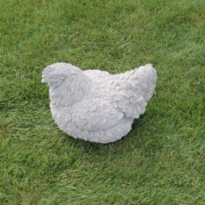 Poule dodue