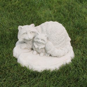 Raton laveur avec un bébé