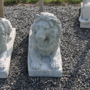 Lion couché (droite)