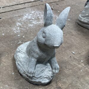 Lapin sortant de son terrier