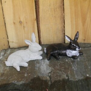 Lapin couché
