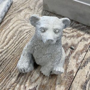 Petit ours assis