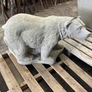 Grand ours