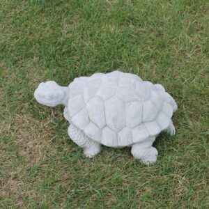 Grande tortue