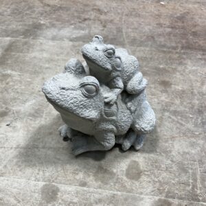 Grenouilles sauteuses