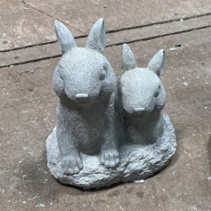 Deux lapins sortant du terrier