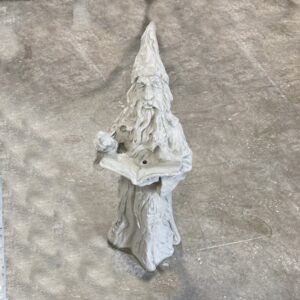 Magicien avec son livre