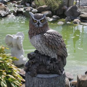 Grand hibou