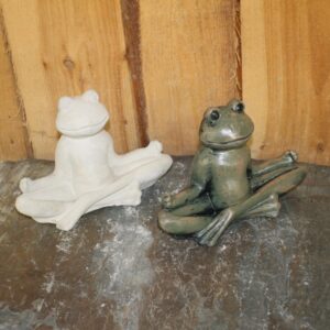 Grenouille zen