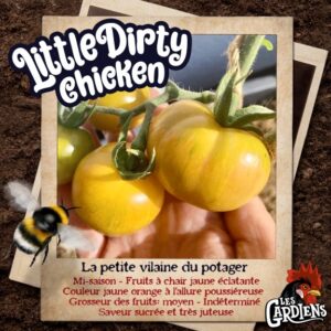 Little Dirty Chicken
