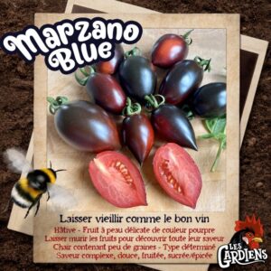 Marzano Blue