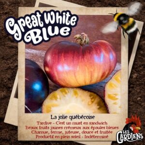 Great White Blue