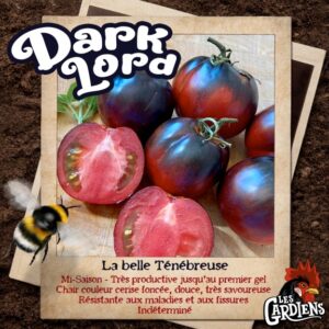 Dark Lord