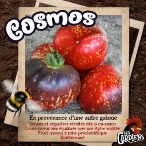 Cosmos