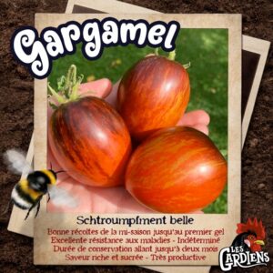 Gargamel