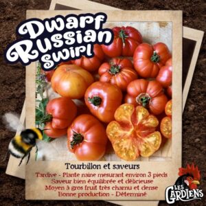 Dwarf Russian Swirl