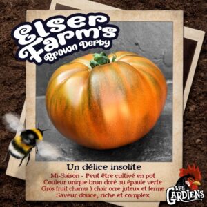Elser Farm's Brown Derby
