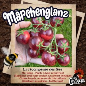 Märchenglanz