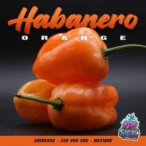 Habanero (Orange)